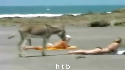 --男cumsラウンド-助教授 鈴木 一徹 視聴
